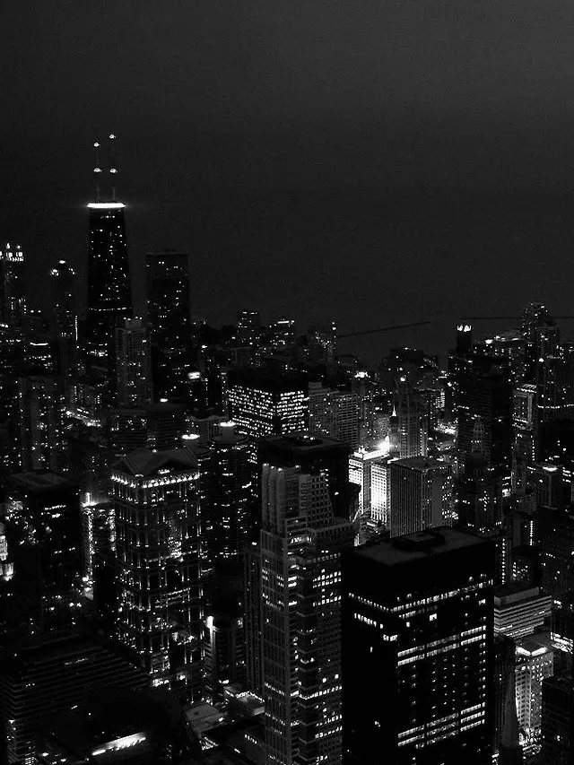 QuaintTree1189의 뜰팁 조직