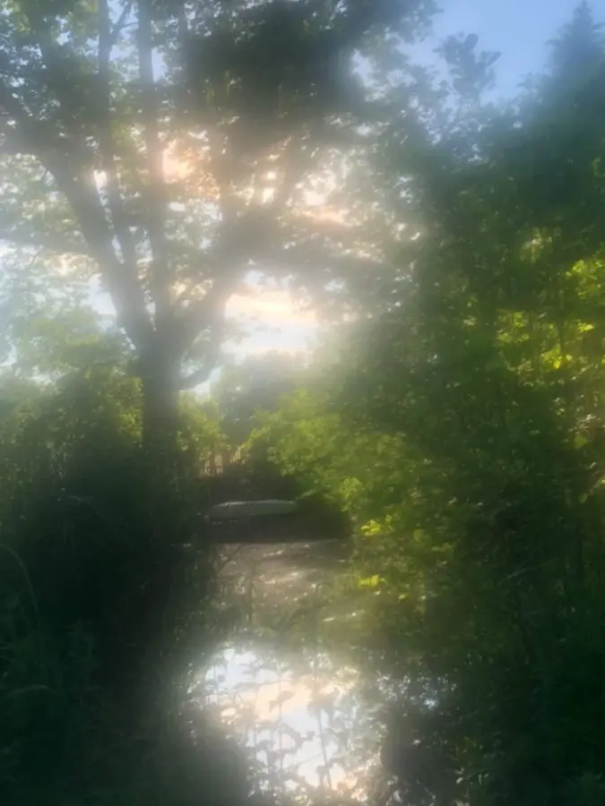 LemonyShot3830의 甘々αに溺愛されて