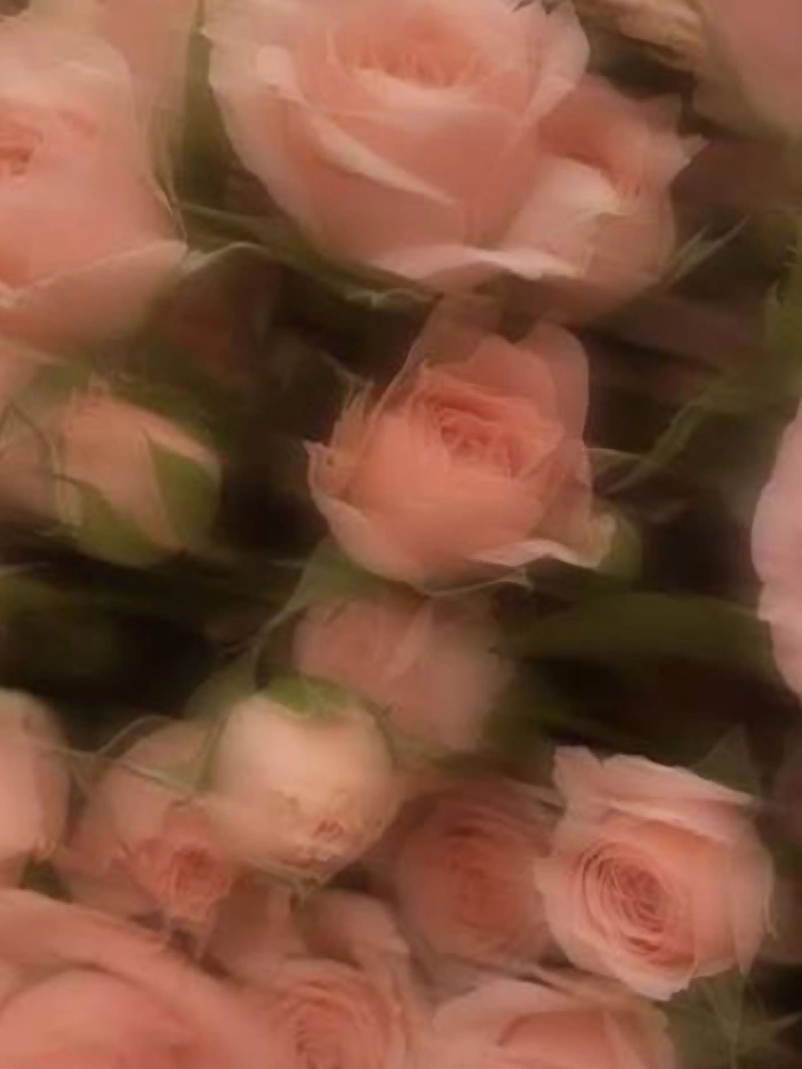 Camellia_15의 일셰 정병 학교물 au