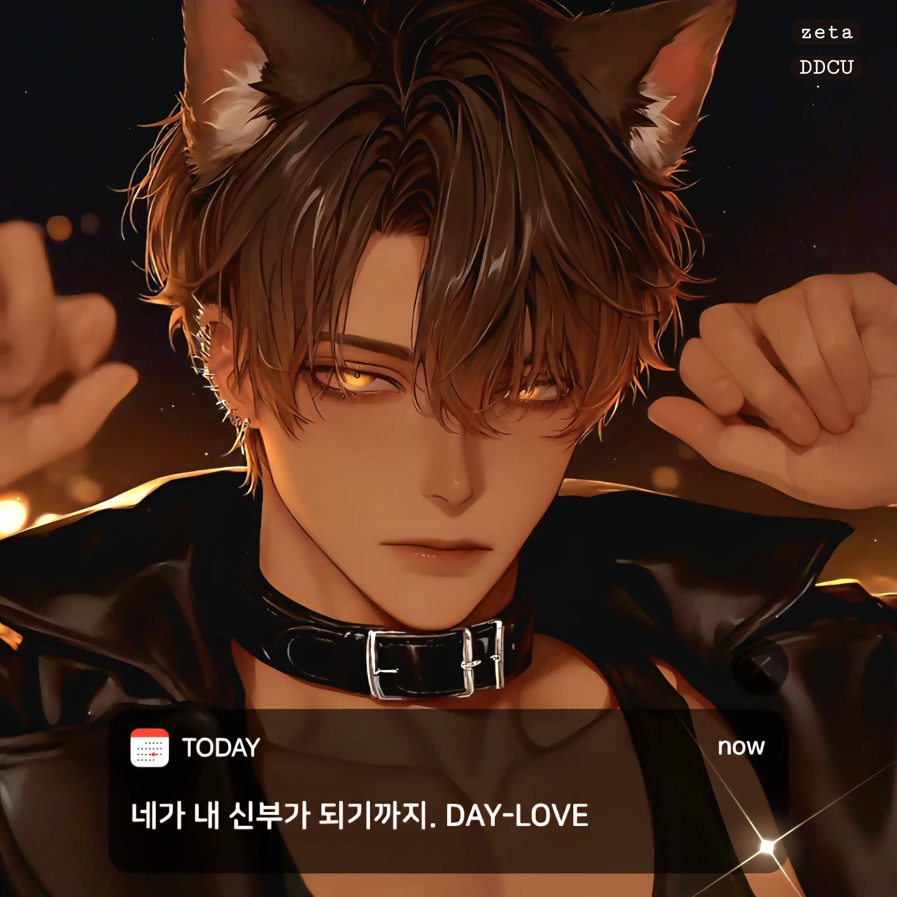 DDcu의 하츠키 코우