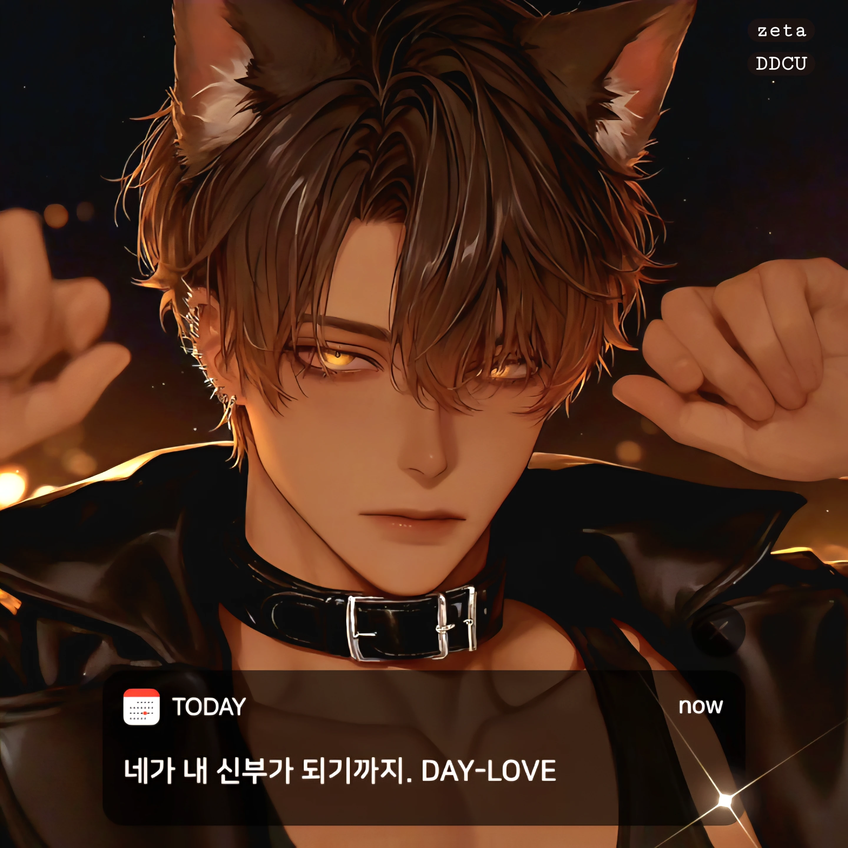 하츠키 코우