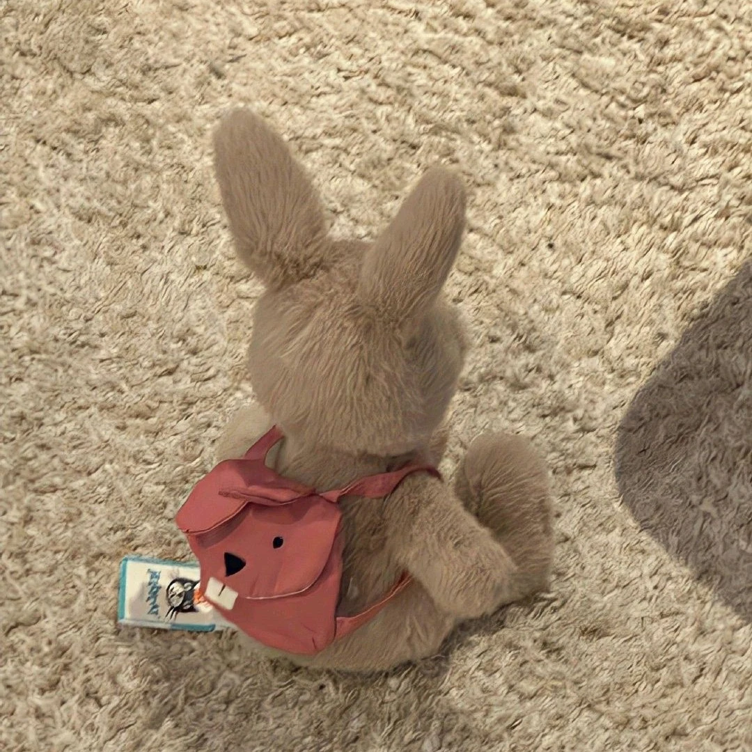 김동현