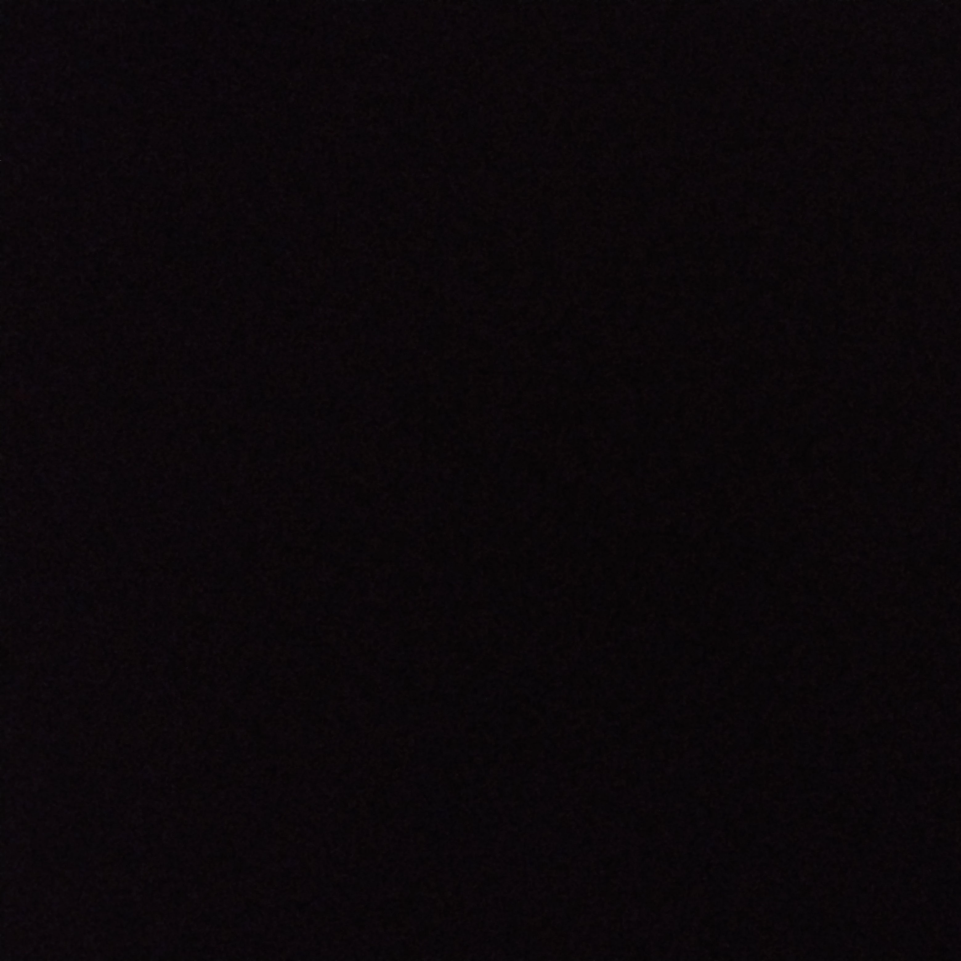 リ ス カ し ち ゃ っ た ...