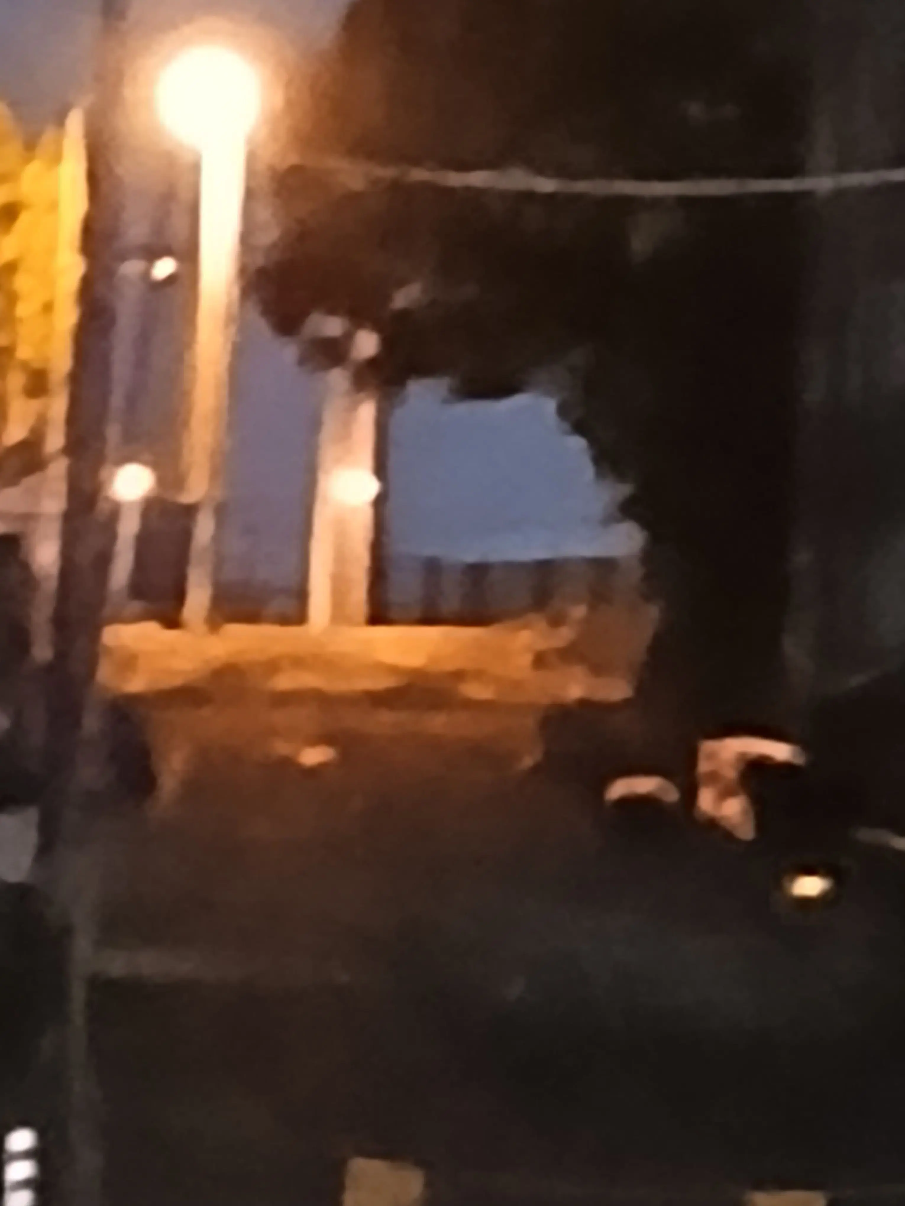 IdleLore9644의 고등학교 친구들과 동거하게 되었다?!