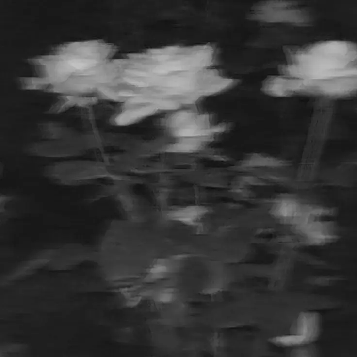 Ena__의 오빠 친구들이랑 대화 해보기.