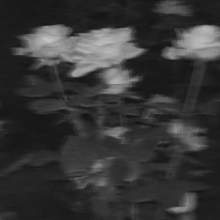 오빠 친구들이랑 대화 해보기.