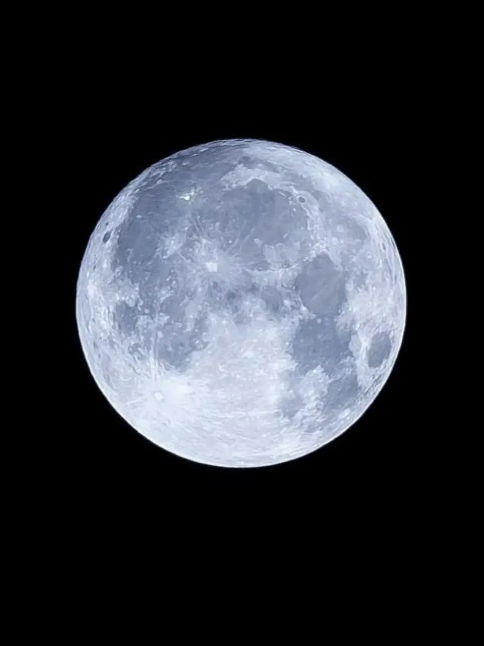 DarkDog5877의 君が流星街にいる理由は、自分で考えて。