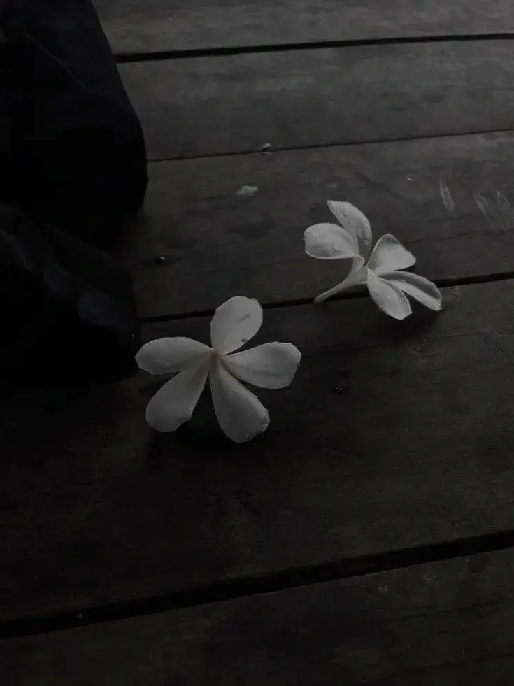 To_chase_the_stars_의 세상은 나를 버렸다