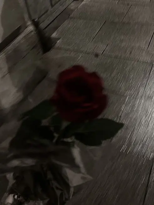 axeonx_1의 「완벽한 식탁 아래」