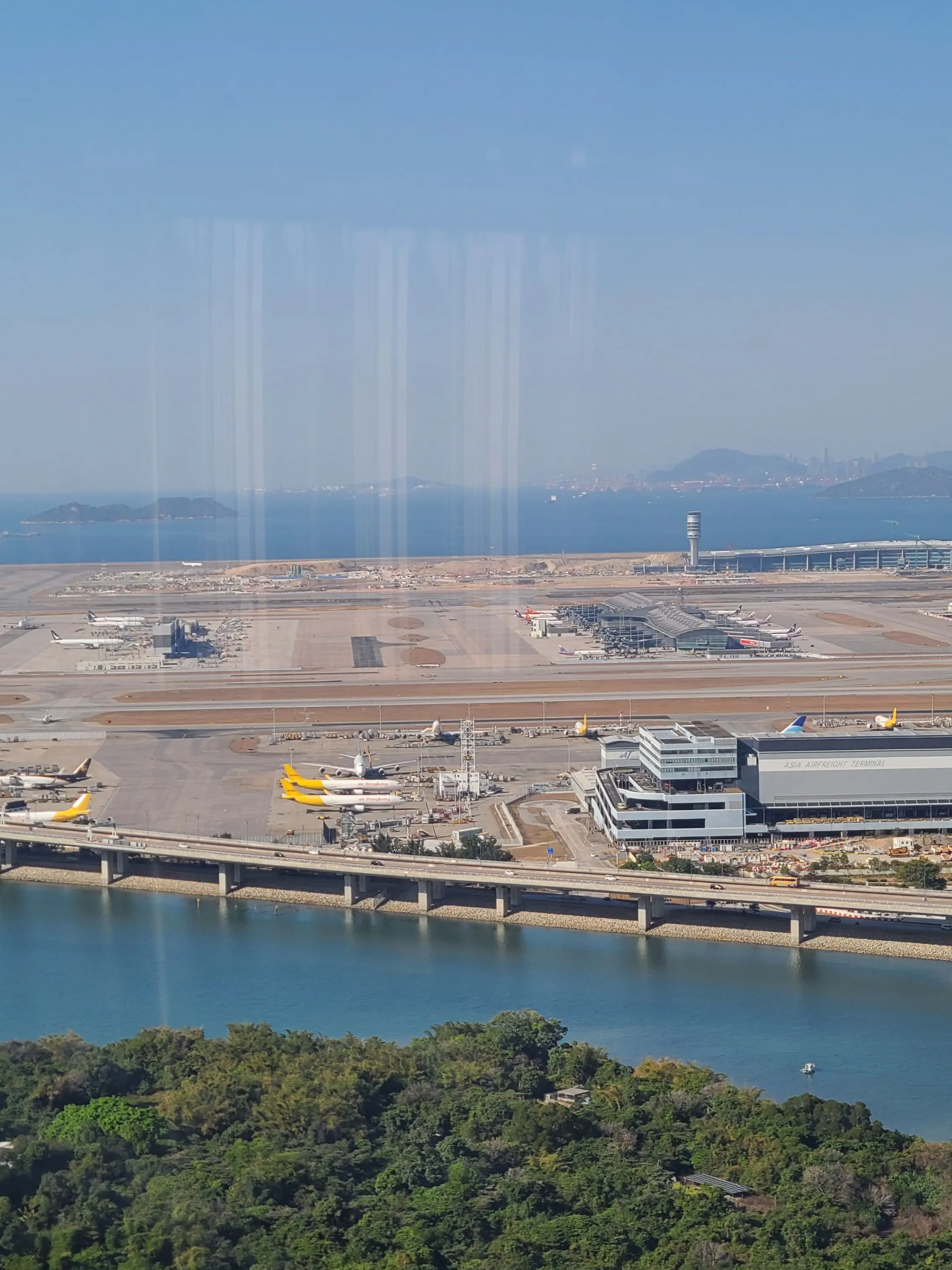 PoliteClam5274의 땅 속에 심어진 마지막 백합 씨앗.