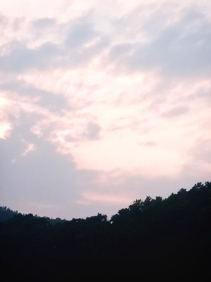 당신을 절대 놓아주지 않는 그녀. 대표 이미지