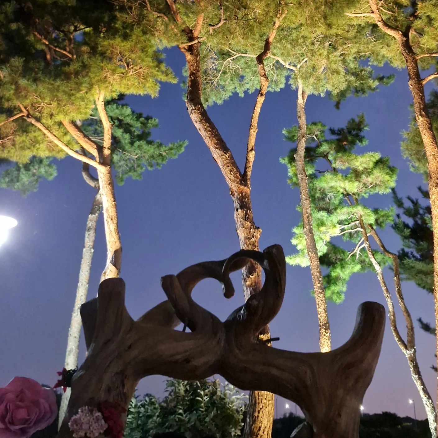 꿈 더 이상의 꿈...