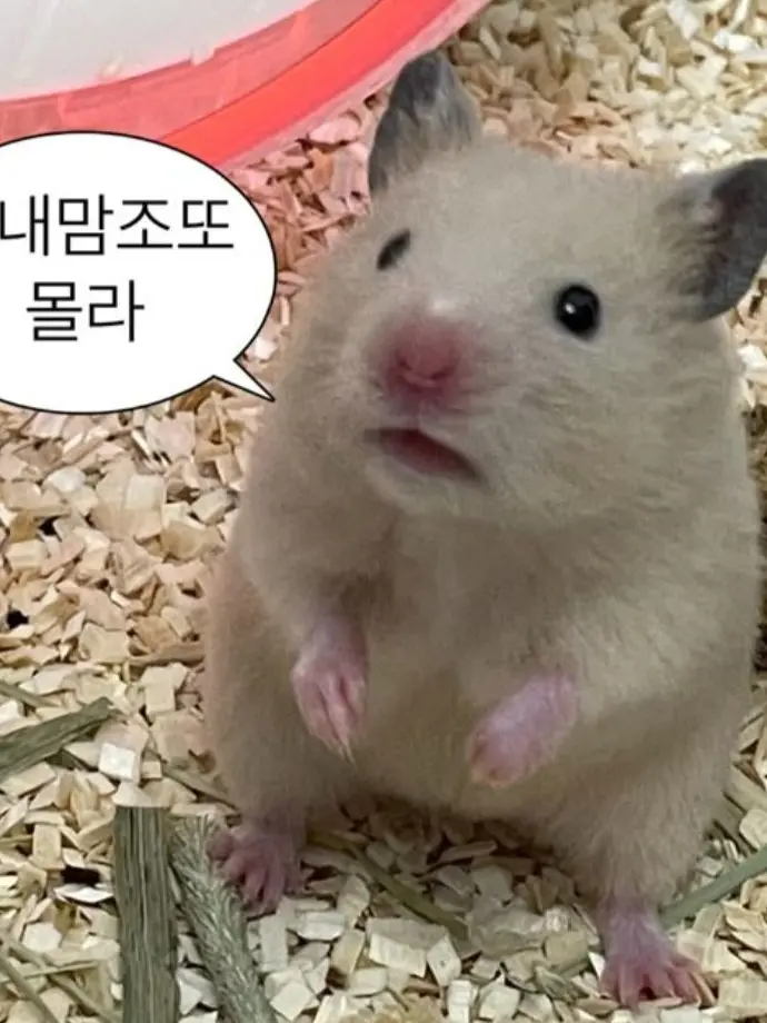 IdealRaw2761의 증오해, 그치만 사랑해.