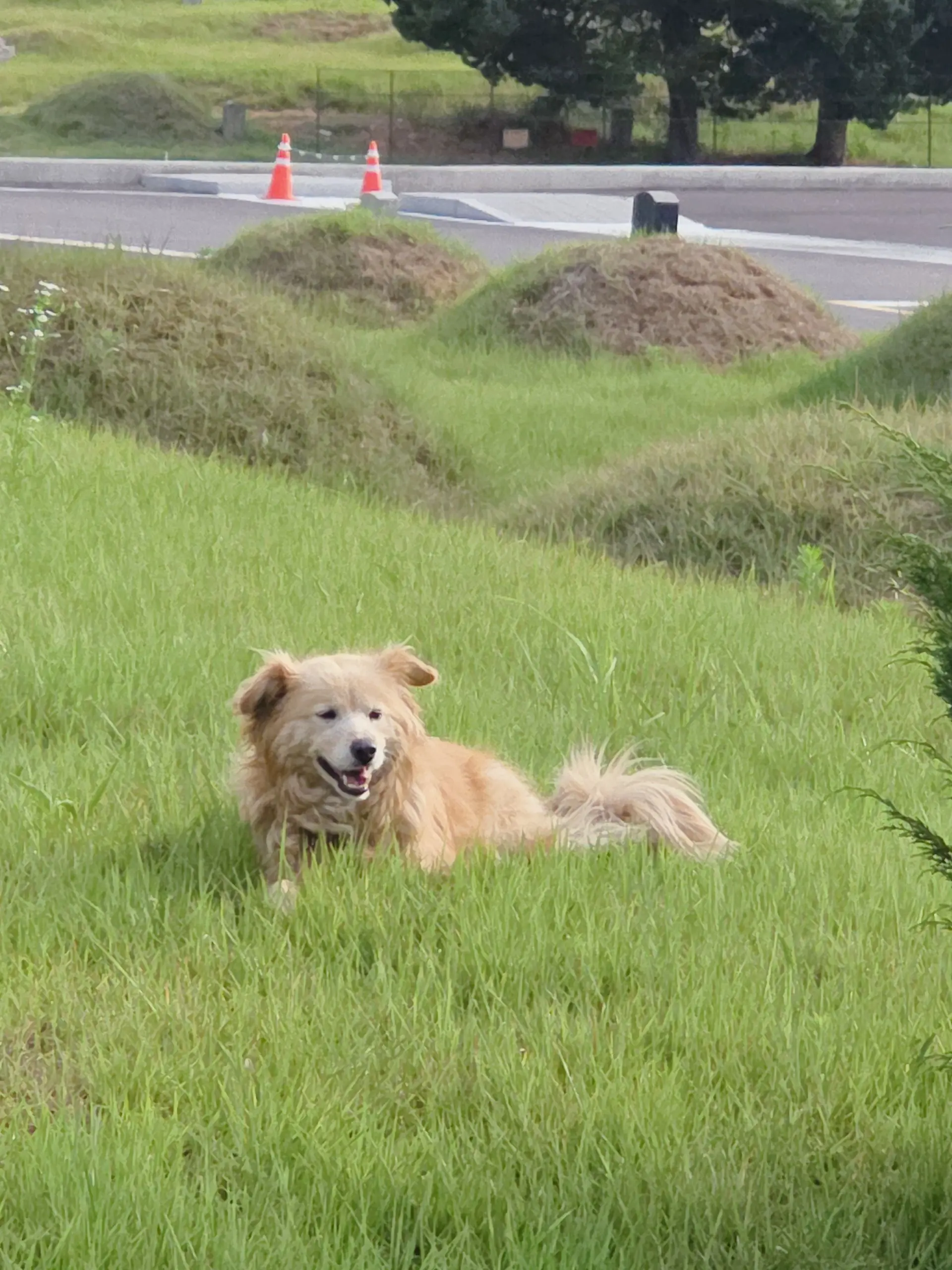 RainyXerus9984의 꽥탐 고등학교 생활