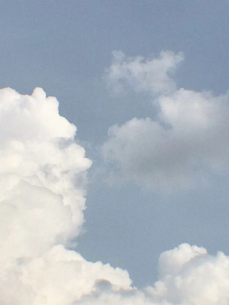 2525jp의 シーザー