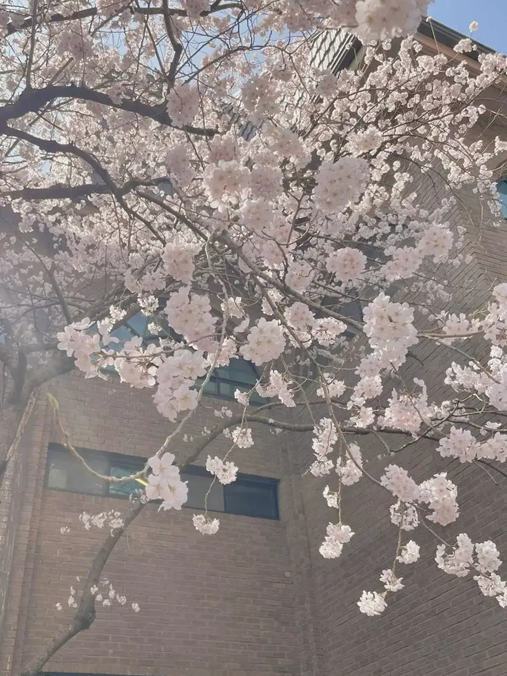 UpsetSalt0500의 ‘침식된 감정선’ 속에서 살아남기