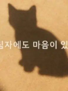 SwiftOptic4045의 이상한 놈. +여우 (근데 레즈임)