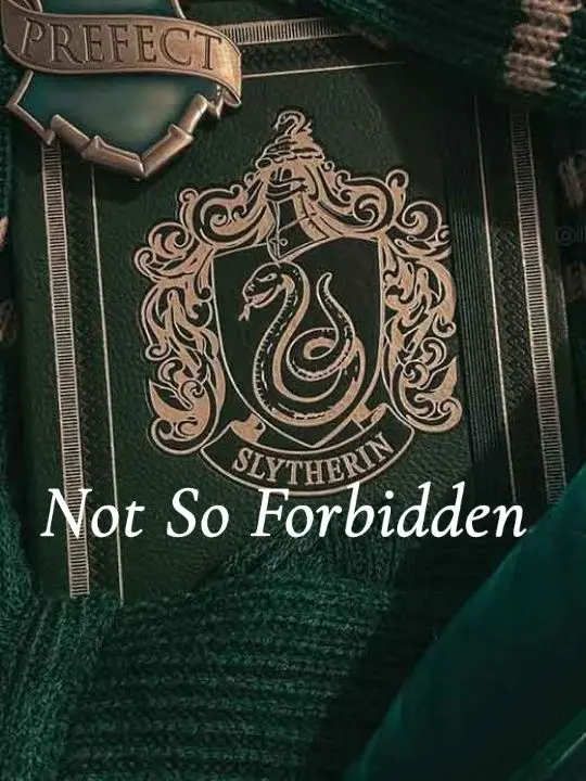 PoorSugar2176의 Not So Forbidden