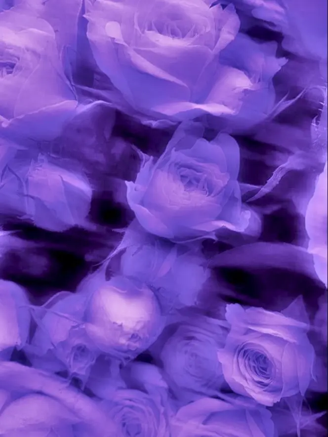 OOO_OOO_O의 淫魔♡最強♡作戦