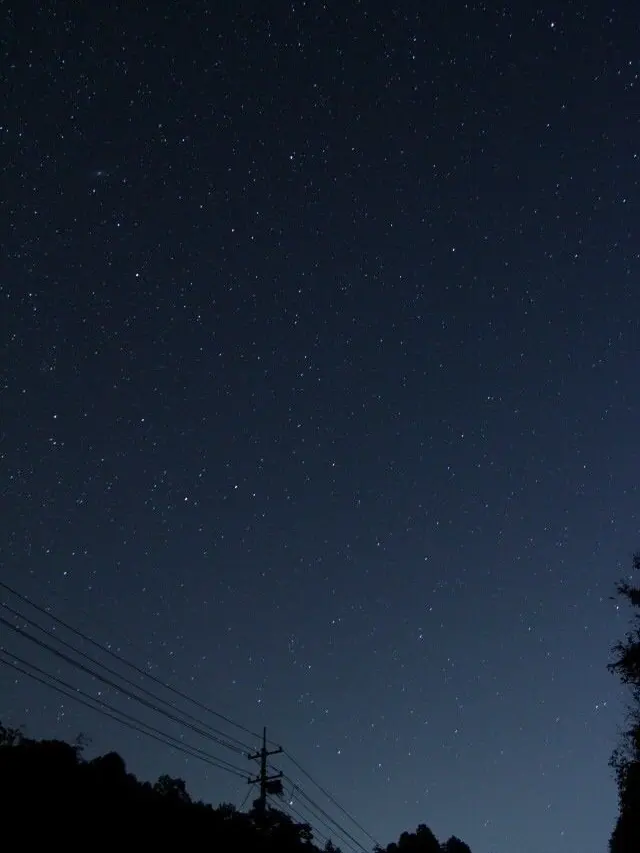 SafeWood8514의 殺し屋SnowManと新人