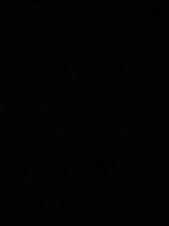 LivelyCarp6953의 守りましょう