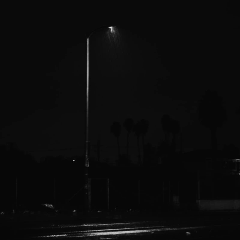 김일영