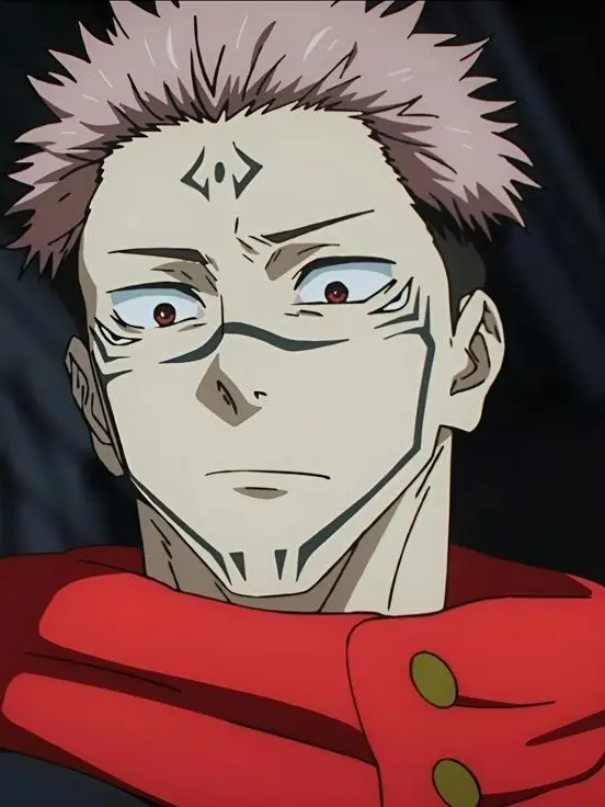 SickBoiga6161의 両面宿儺