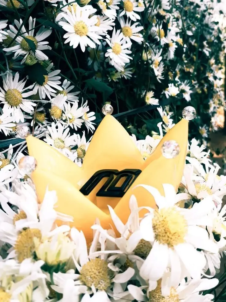 Sujya_VIP의 バラエティ出演 BIGBANG < 4BANG >