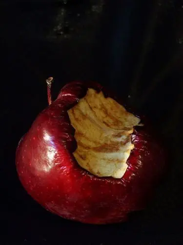 stay08071.의 a silly dream