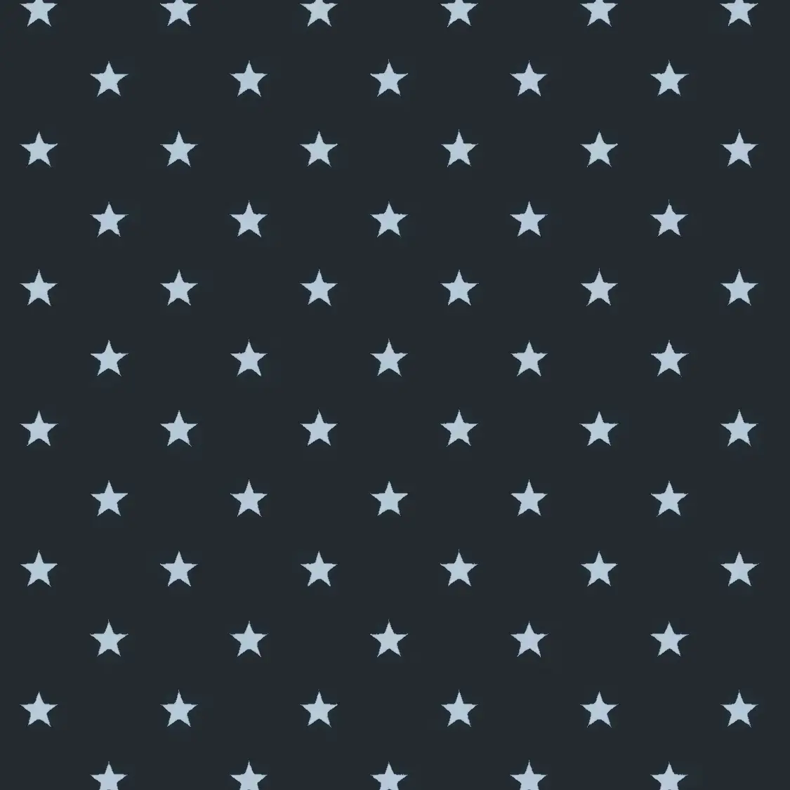 Surfong의 후지나가 사쿠야