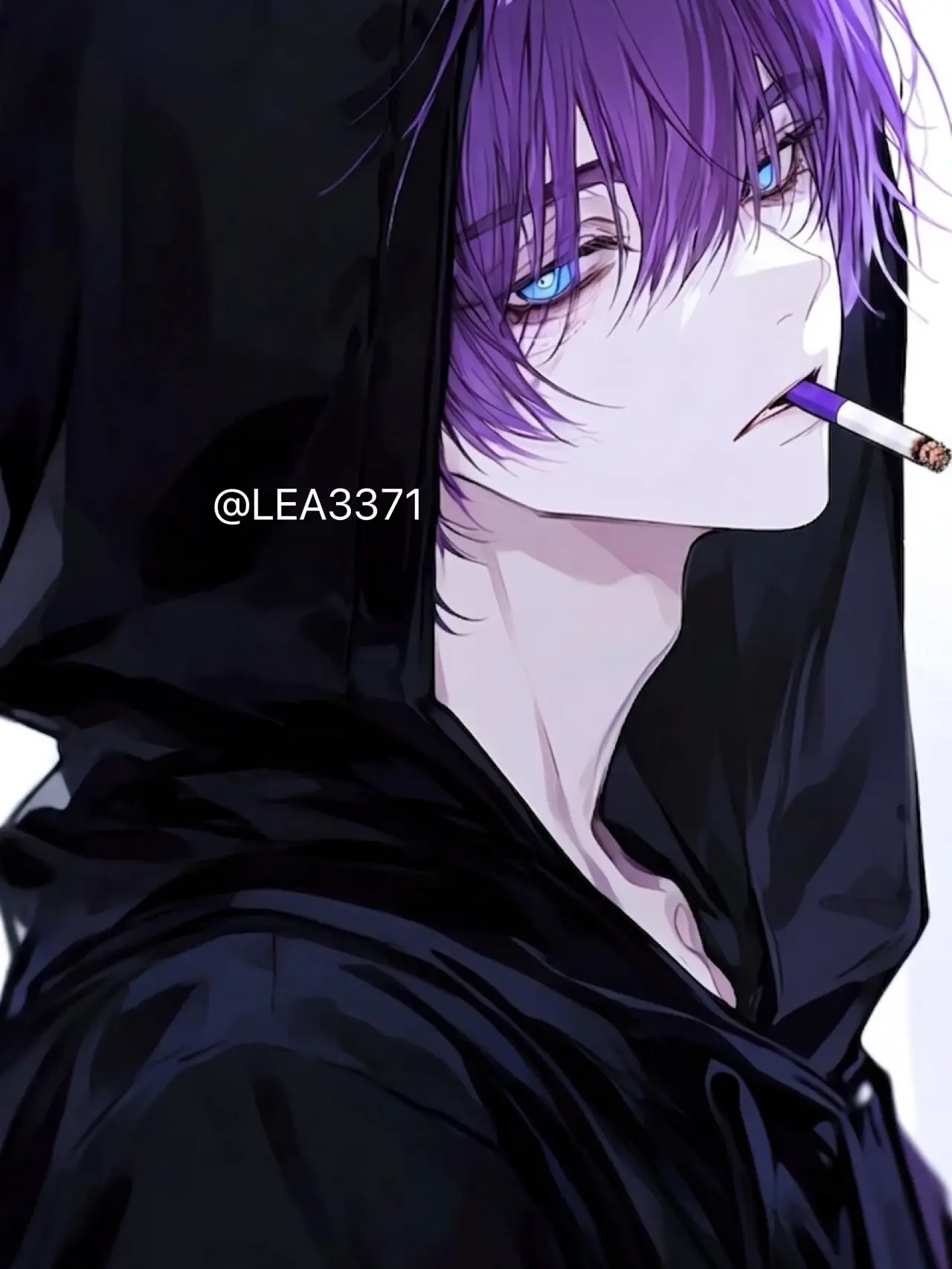 LEA3371의 넘버 원 호스트, “히비키”