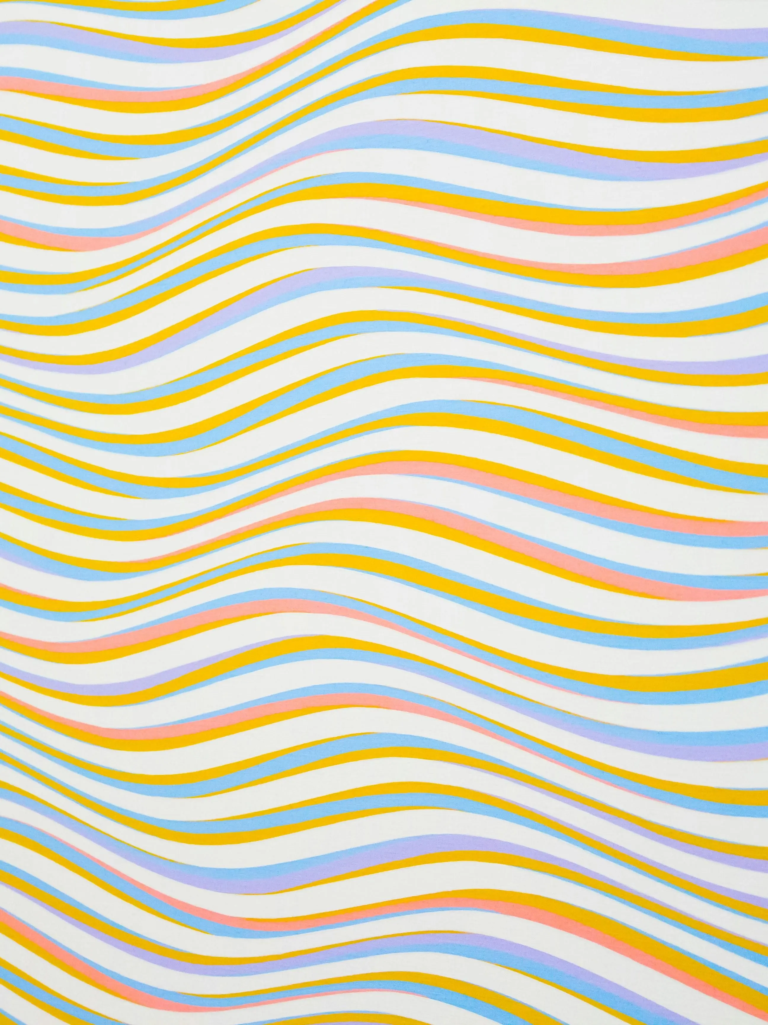 WildPika2639의 마음대로