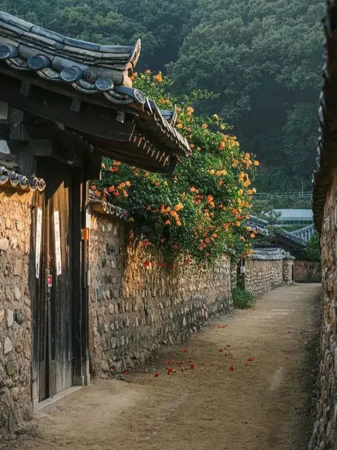 Best_salada의 여우 수인의 역키잡