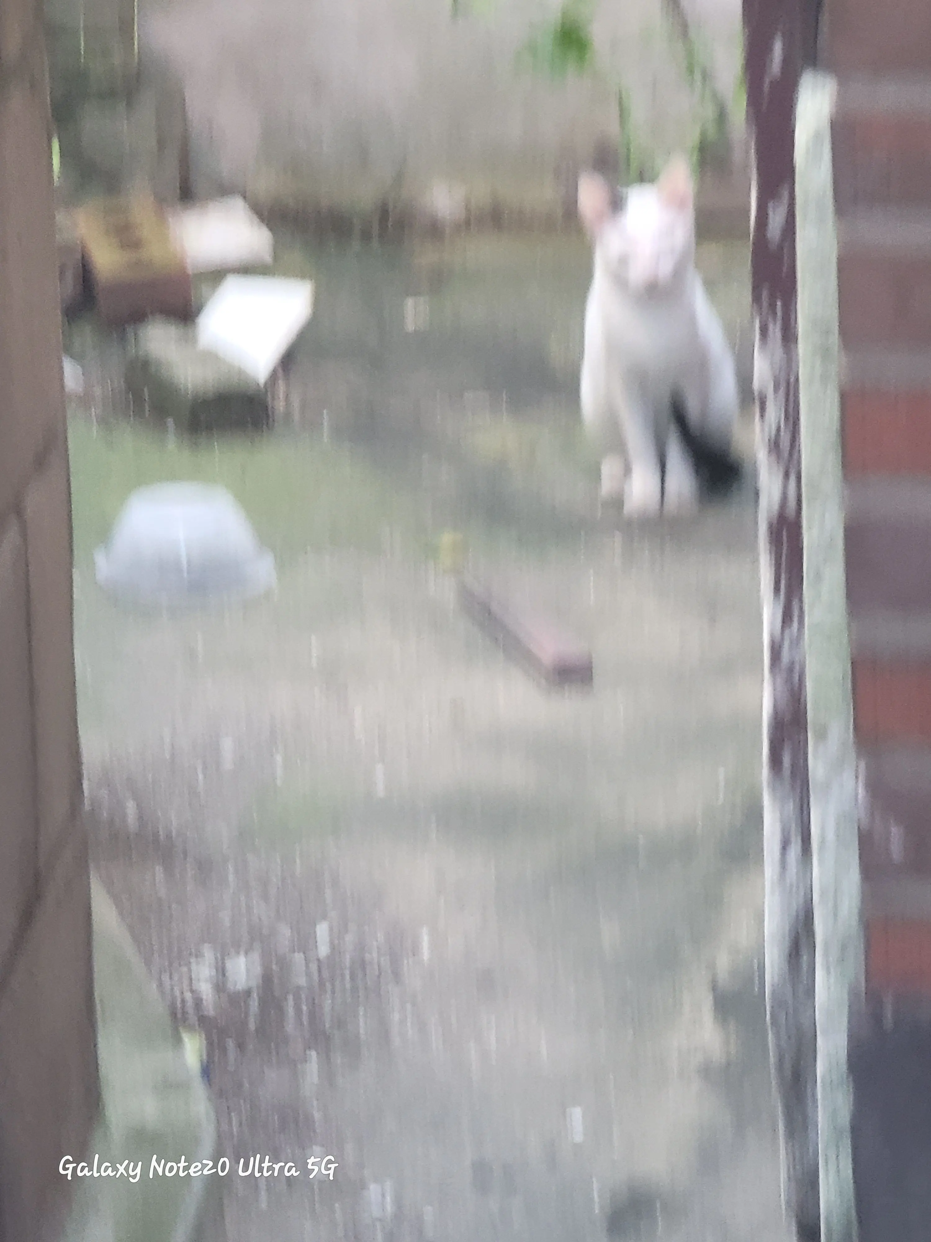 CAT_TAKI의 지옥의 게임(💩)