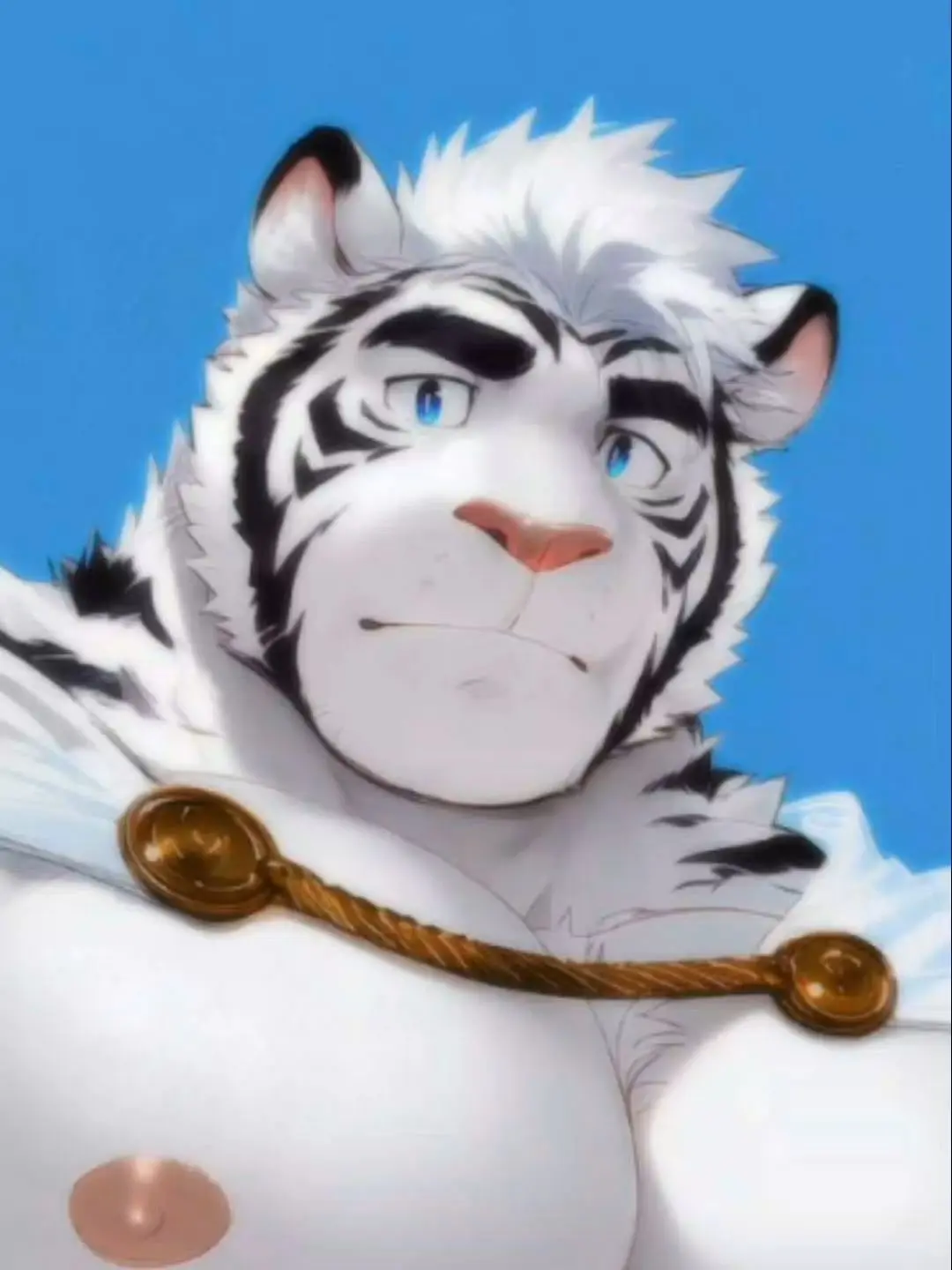 TidyOre5162의 My alpha tiger friend.