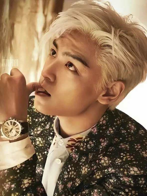 Vonn의 Choi Seung-hyun