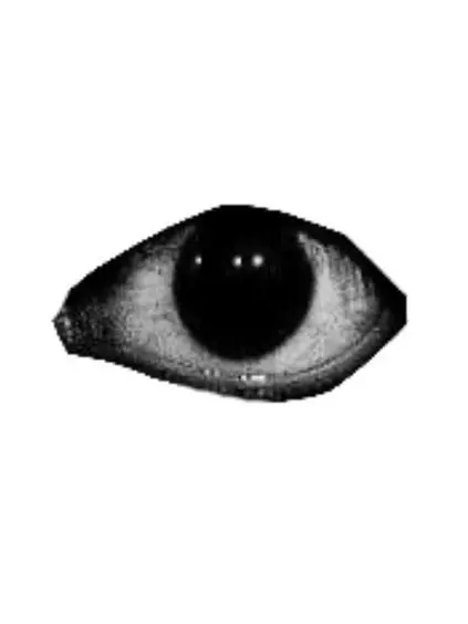 KindBleed1800의 OCハウスーー