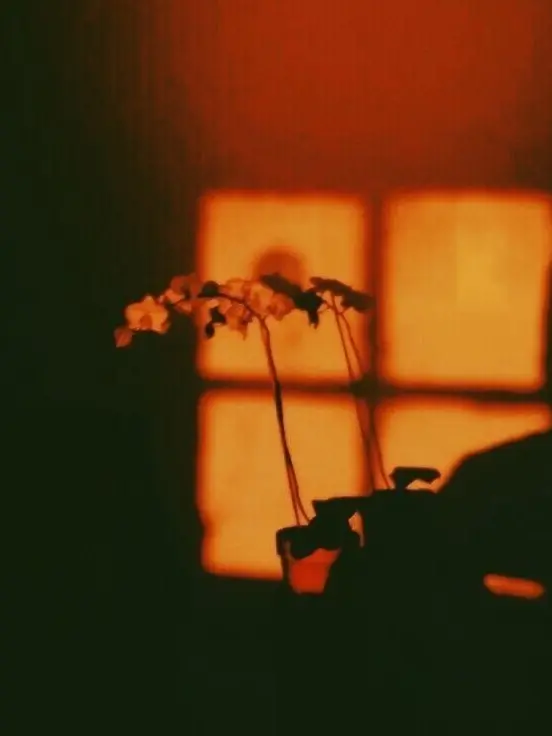 gaegsil-eun_eotteohge의 濯罪夜