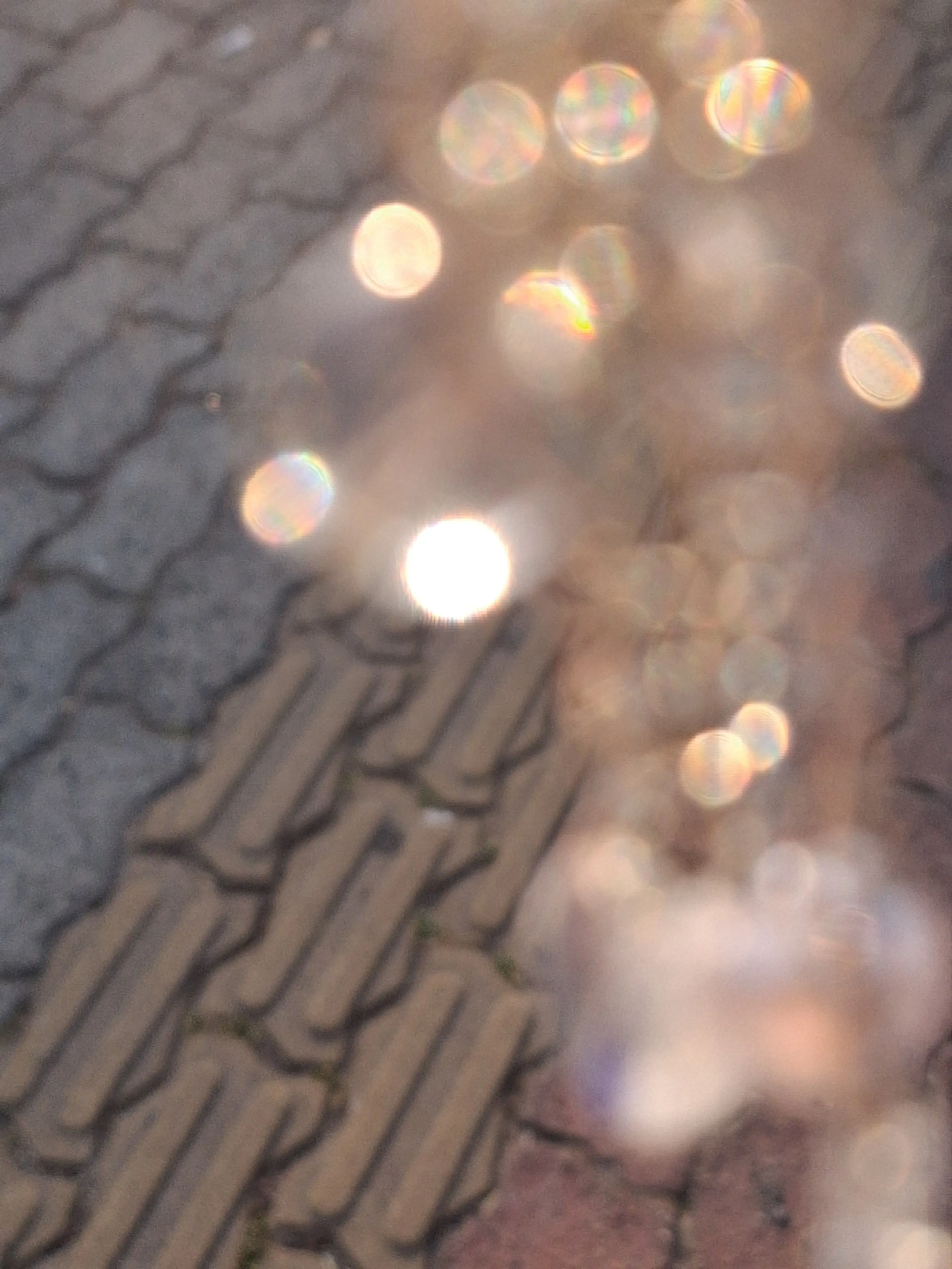 PettyPhoto6385의 개인용