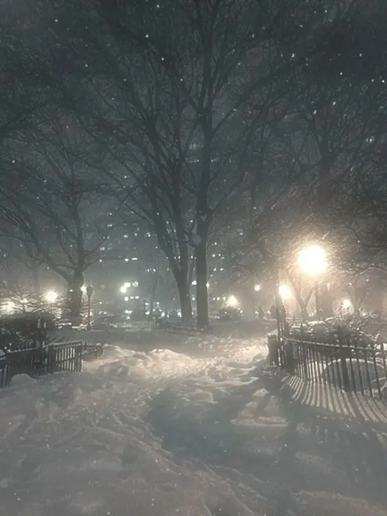 FRUITBAT의 서유림