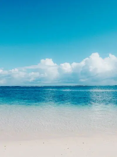 tqjsuzgjqosj3031의 리레볼루션