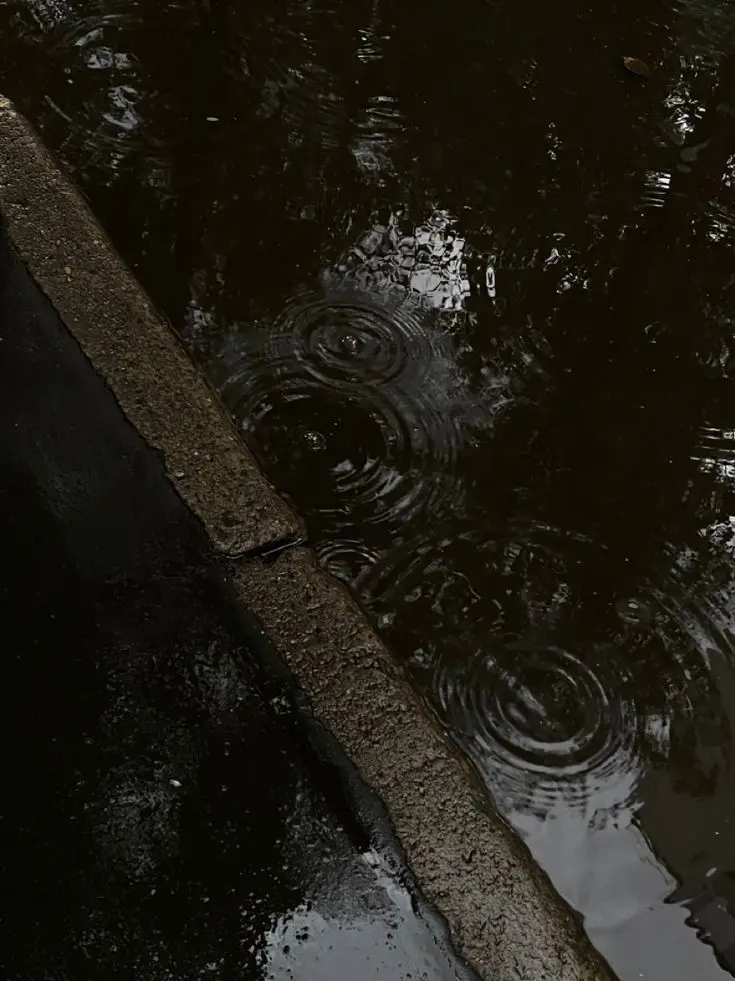 SmallSnow7244의 ♥︎