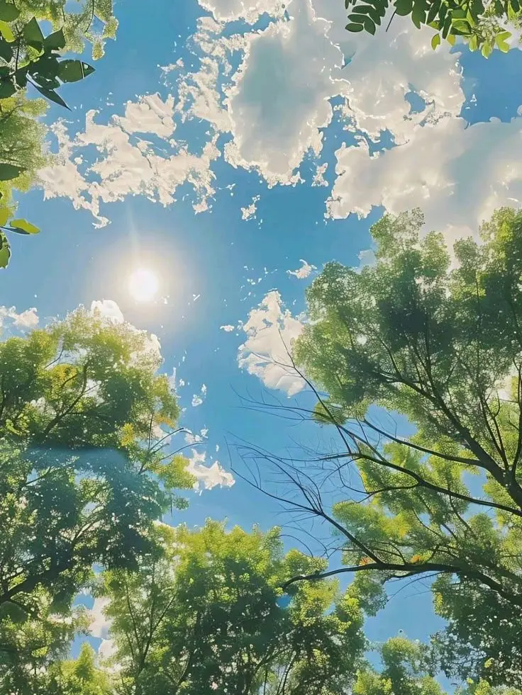 Cozyshard24757의 미스터리수사반