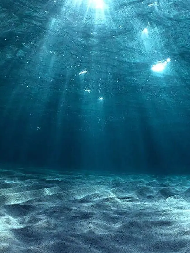 Cozyshard24757의 미스터리수사반