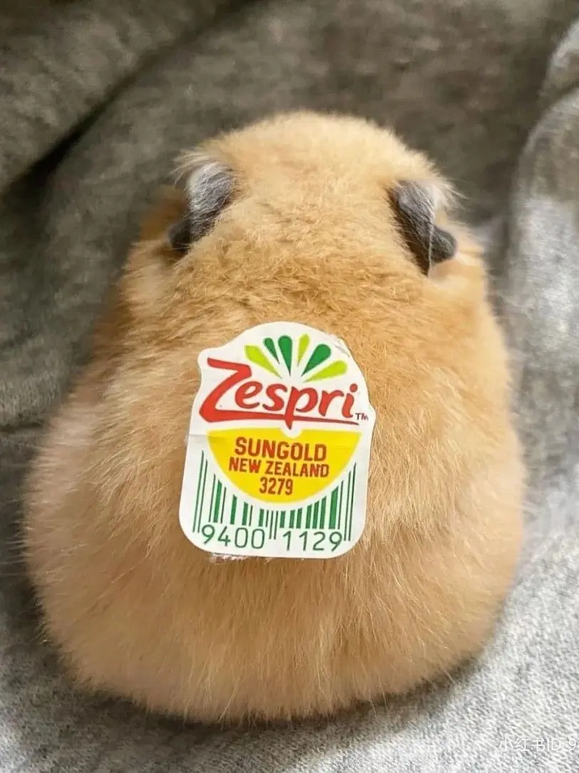 IVE_DIVE_LOVE의 여우에게 속은 아이브!(불운편)