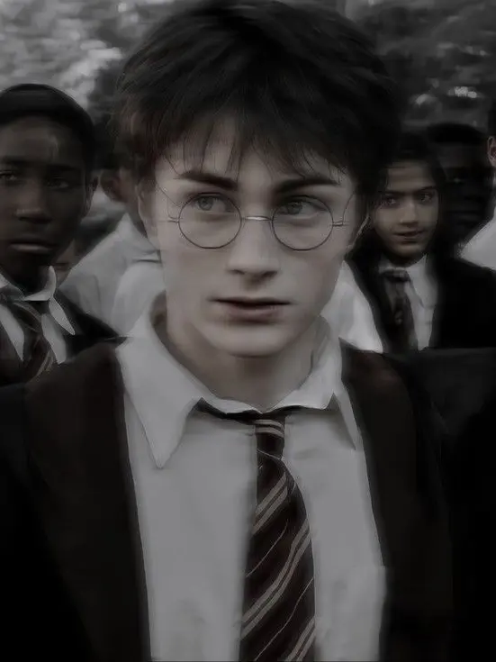 TautGravy0514의 Harry Potter