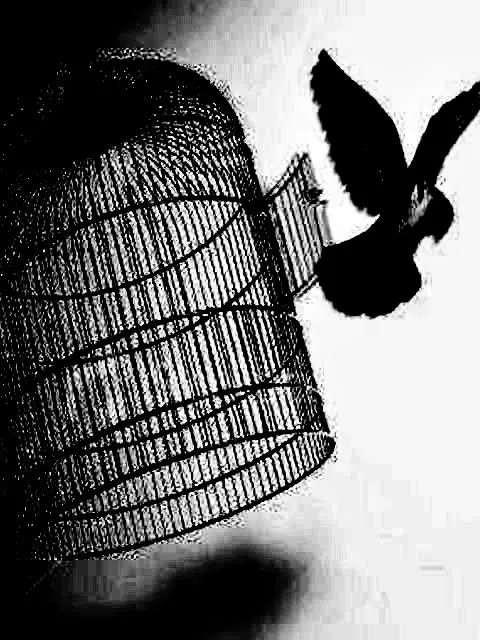 0FFFFFF의 きゅうくらりん