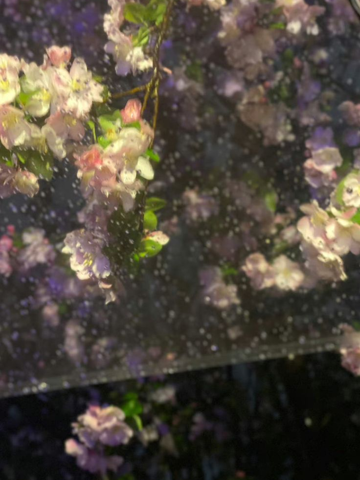 鳴海 弦 대표 이미지