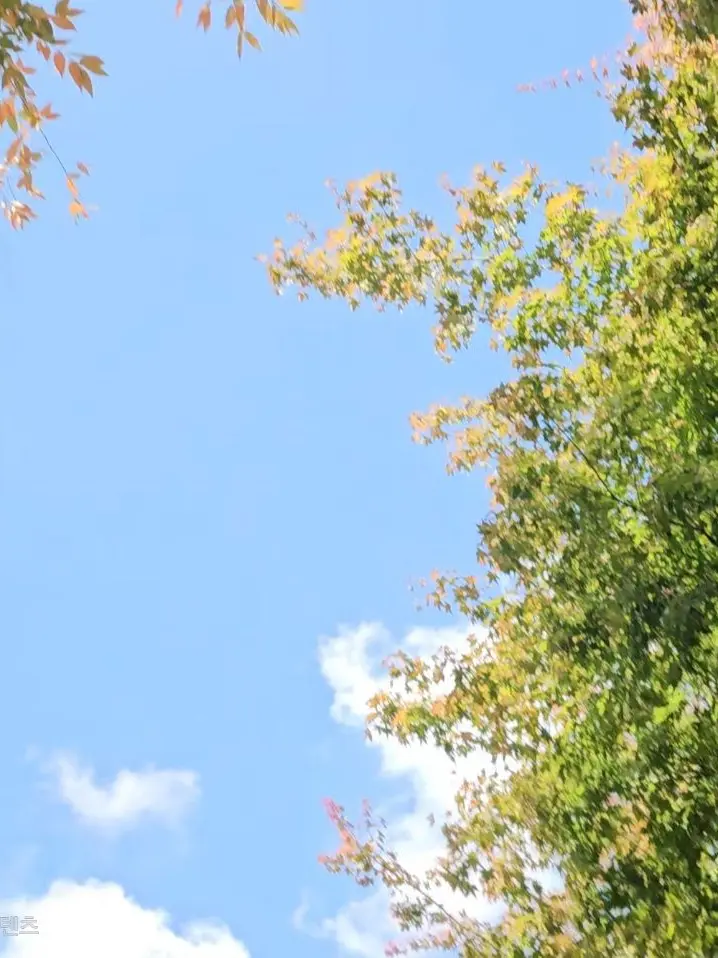 M_7060의 첫눈하면 첫사랑아닌가-?