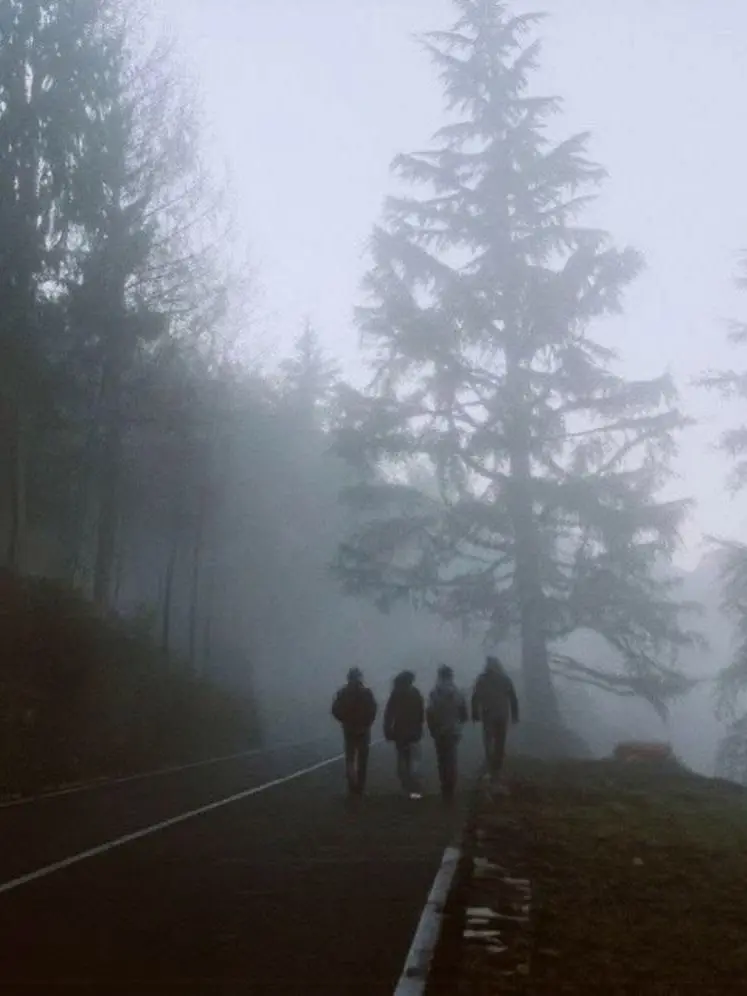 MartyrBed2832의 Green Haze 🧟🧠